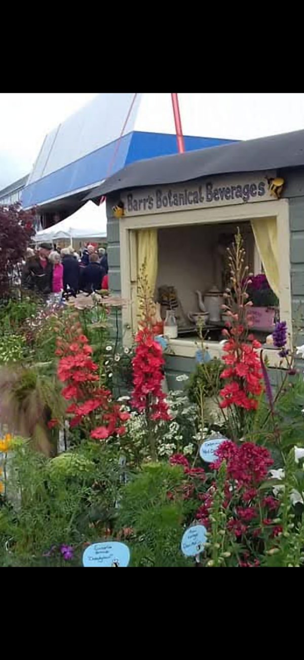 Delphinium 'Red Caroline'