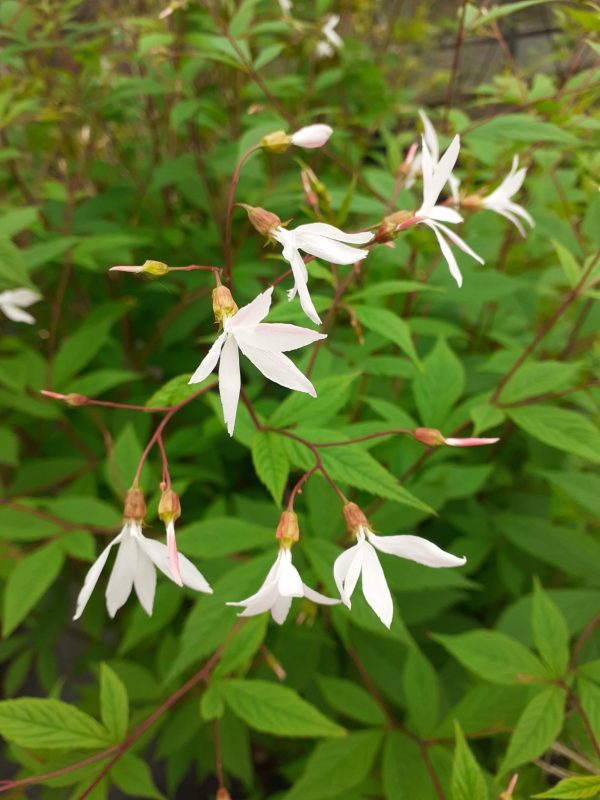 PHOTO-2022-05-19-14-01-20 2