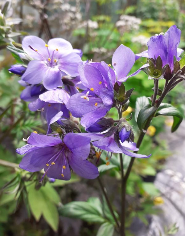 PHOTO-2022-05-19-14-02-44 2