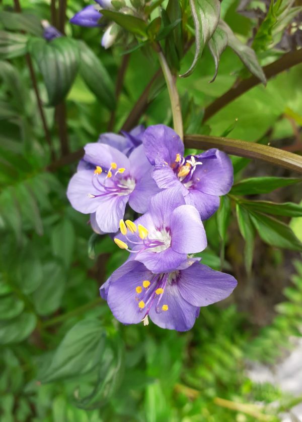 PHOTO-2022-05-19-14-02-44