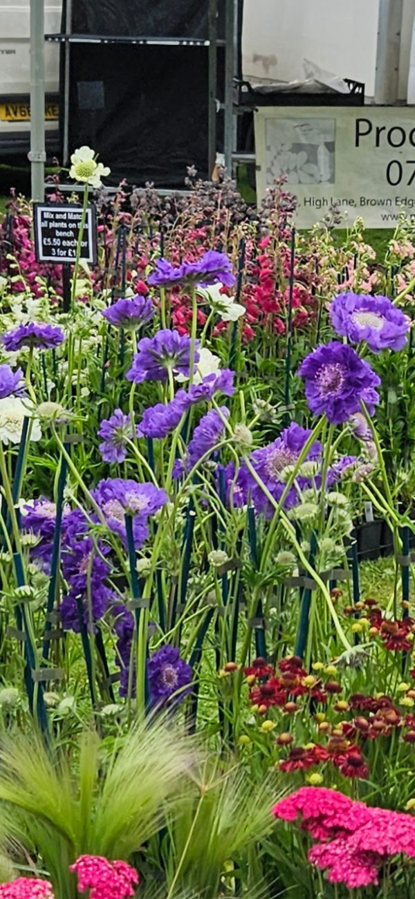 Screenshot_20241210_211410_Gallery