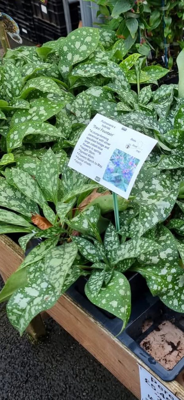 Screenshot_20241224_095517_Gallery