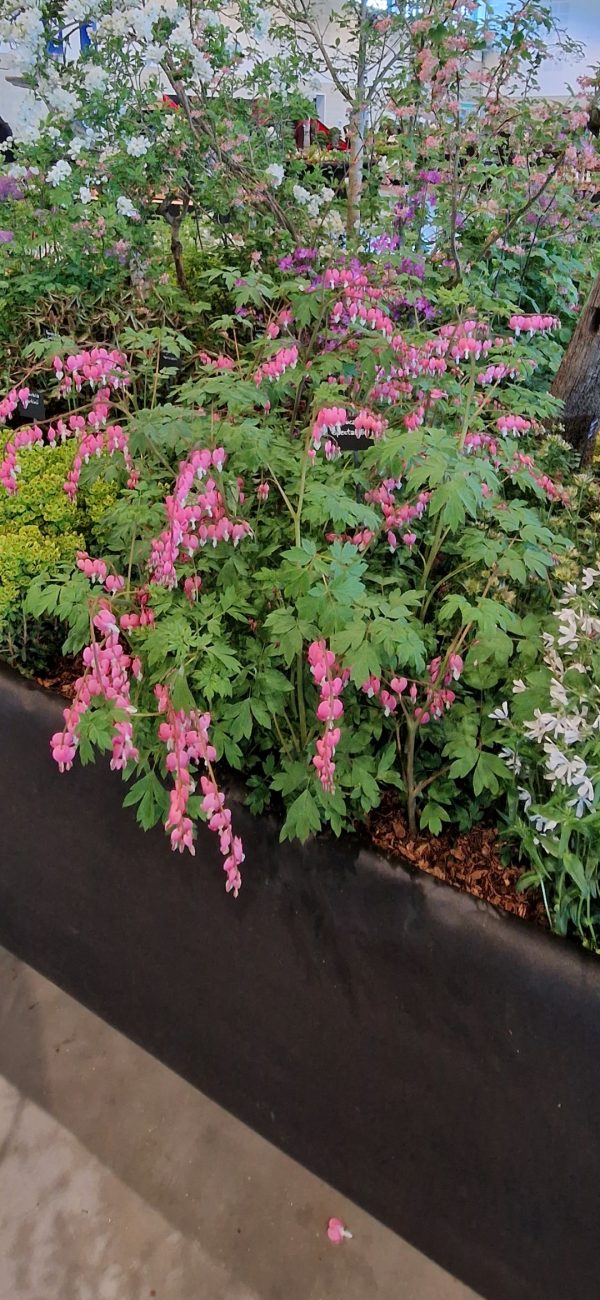 Screenshot_20241204_195018_Gallery