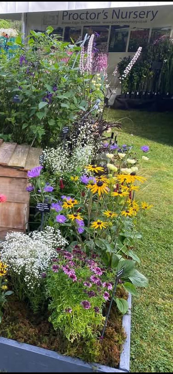 Screenshot_20241222_225323_Gallery