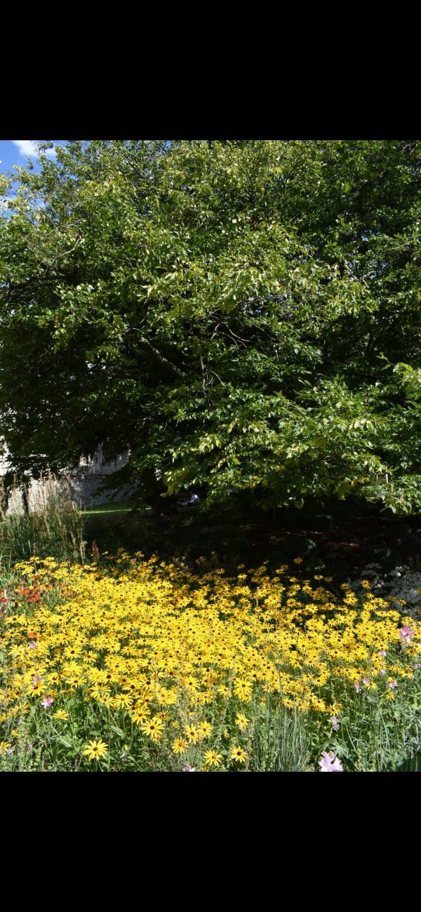 Screenshot_20241214_101844_Photos