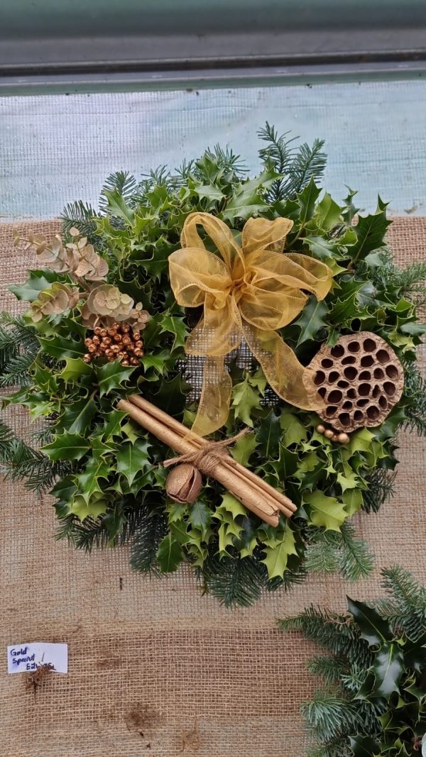 PHOTO-2022-11-29-12-02-24