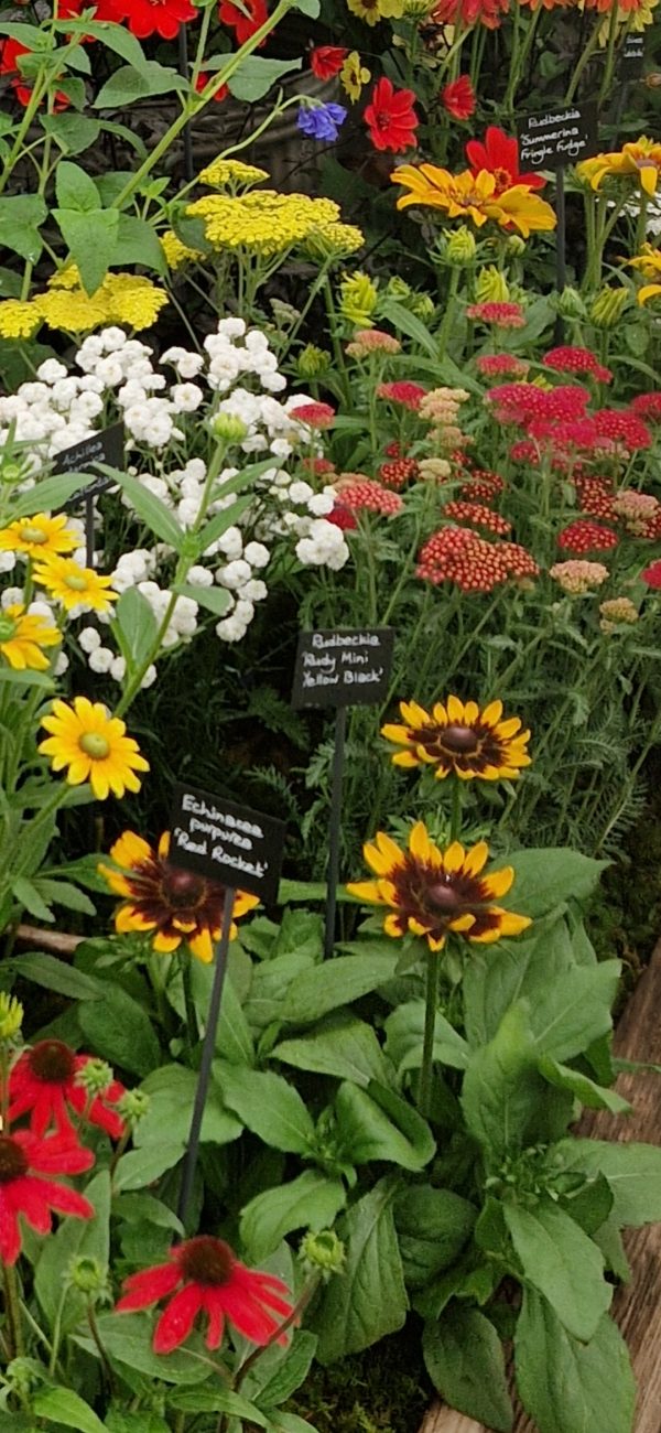 Screenshot_20241220_201851_Photos