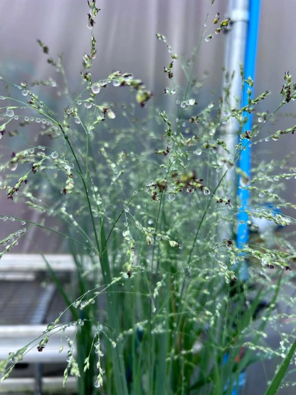 FB_IMG_1734899213860