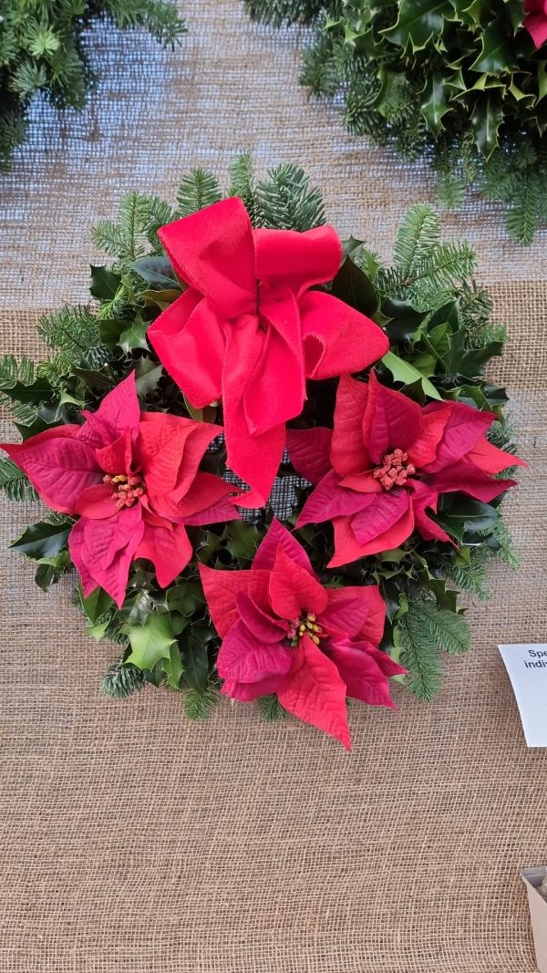10 inch - Poinsettia Velvet Bow