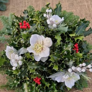 8 Inch Dome - Special Hellebore