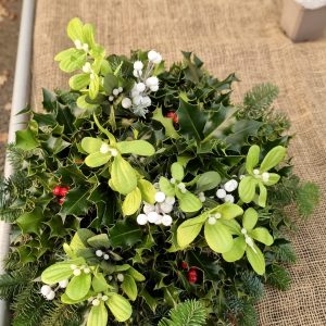 8 Inch Dome - Special Mistletoe