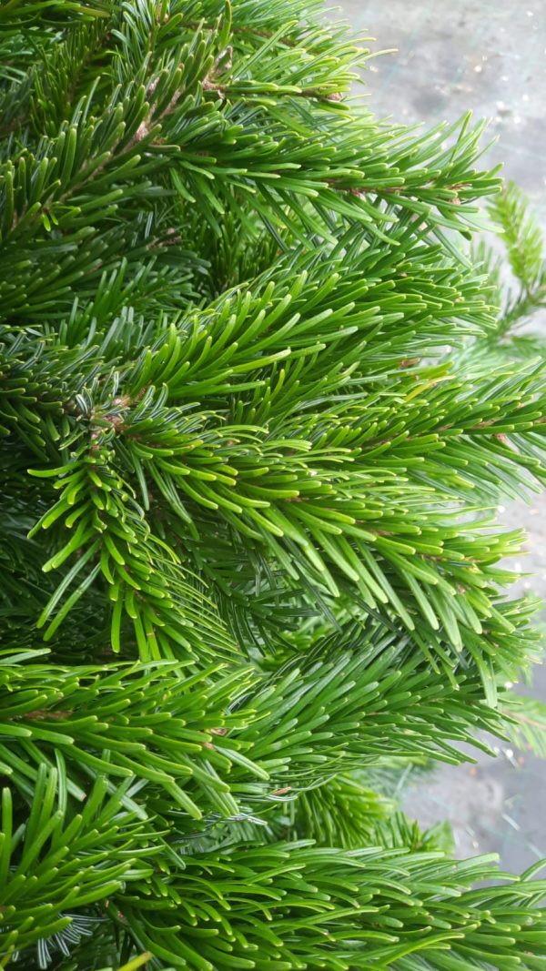 PHOTO-2024-12-05-10-37-42