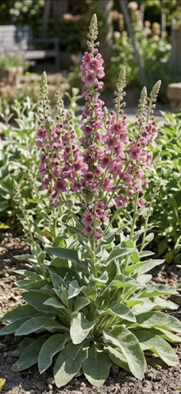 Screenshot_20260412_225007_Google